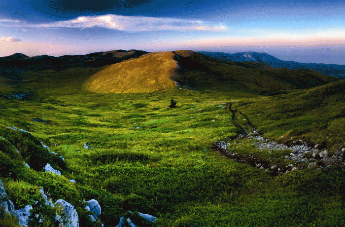 GREEN MOUNTAIN