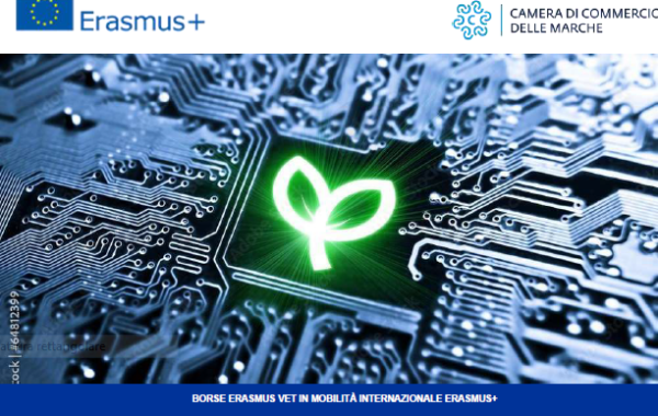 CameraMarche Alliance for Learning Mobility 2021
